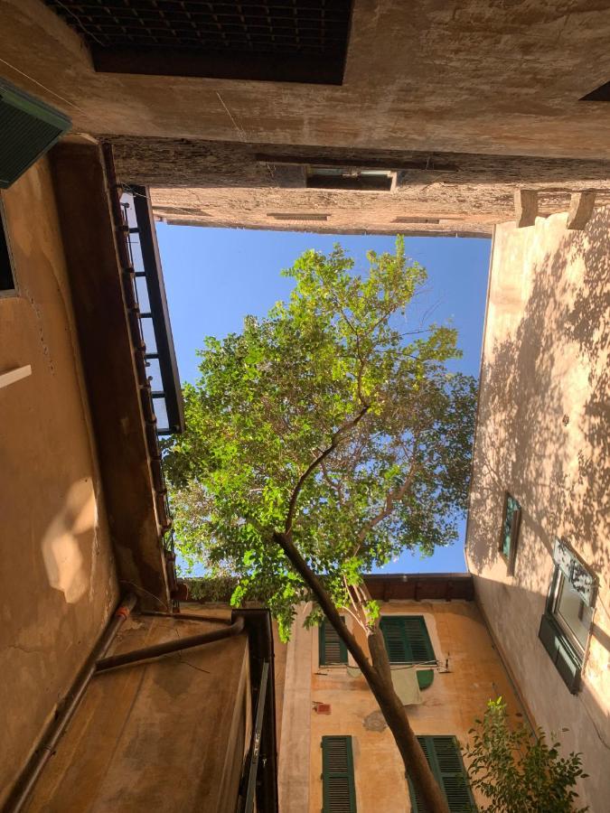 Navona Apartment روما المظهر الخارجي الصورة