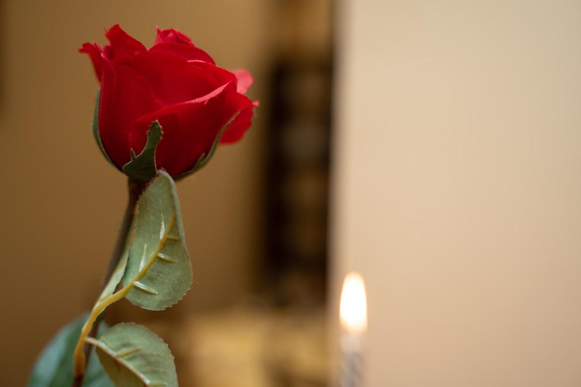 Navona Apartment روما المظهر الخارجي الصورة